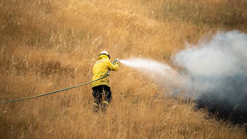 A firefighter standing on long dried out grass using a hose to extinguish a fire.