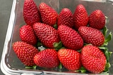 A punnet of deep red, Red Rhapsody strawberries.