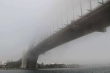 Fog shrouds the Sydney Harbour Bridge.