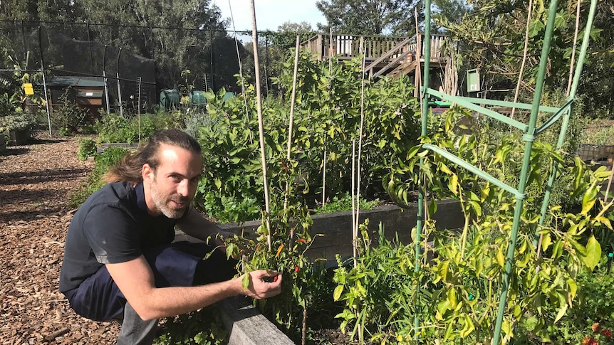 Man in a garden.