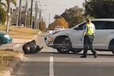 A white SUV is parked on a suburban street with a man falling to the ground in front of it.