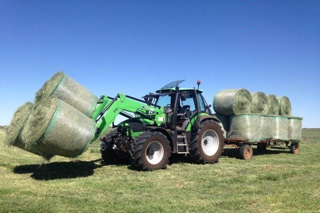 Neutral Junction's hay crop