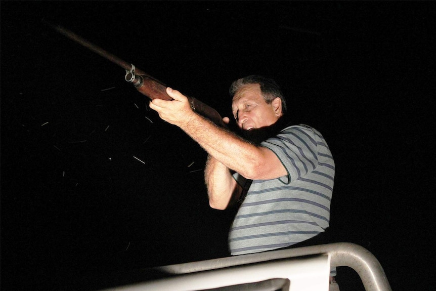 Central Queensland farmer Sib Torrisi stands aiming his shotgun in the back of a ute at night.