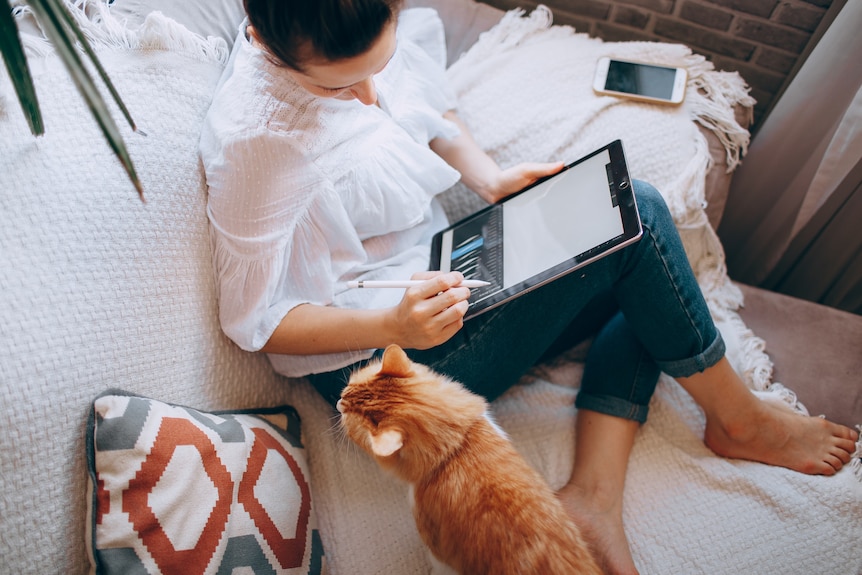 A woman sitting on a couch with her cat with a laptop