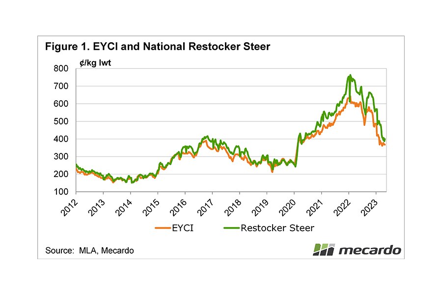 A graph of the Eastern Young Cattle Indicator and Restocker Steer price from 2012 to 2023.