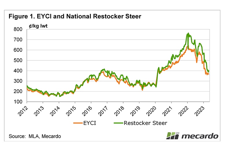 A graph of the Eastern Young Cattle Indicator and Restocker Steer price from 2012 to 2023.