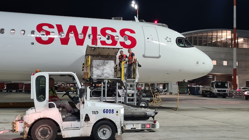 A plane with "Swiss" written on the side, with men unloading boxes from its hull on a tarmac at night 