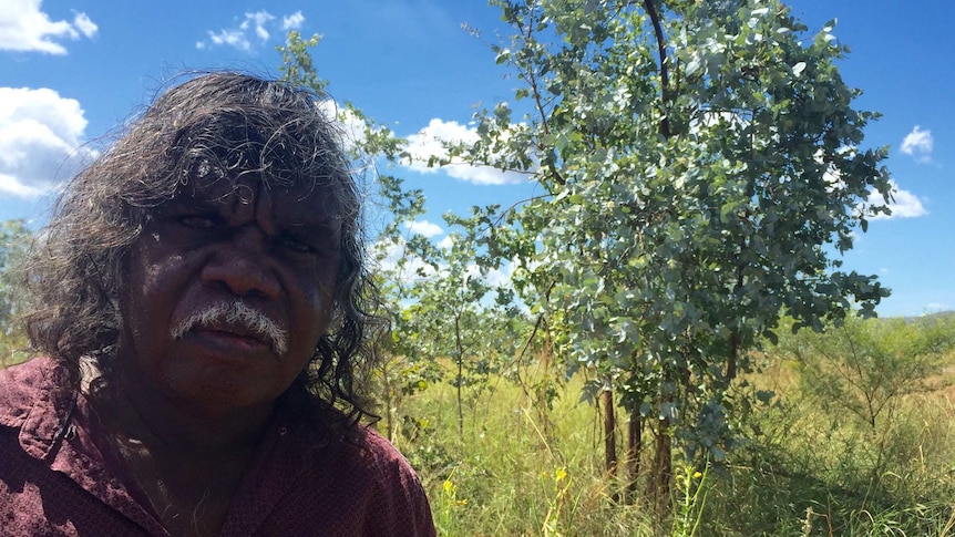 An Aboriginal man stands in front of a tree in the bush