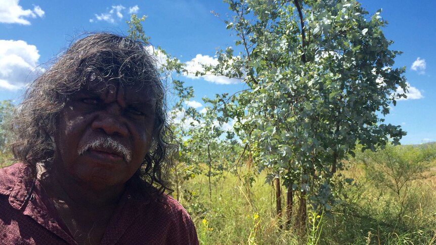 An Aboriginal man stands in front of a tree in the bush