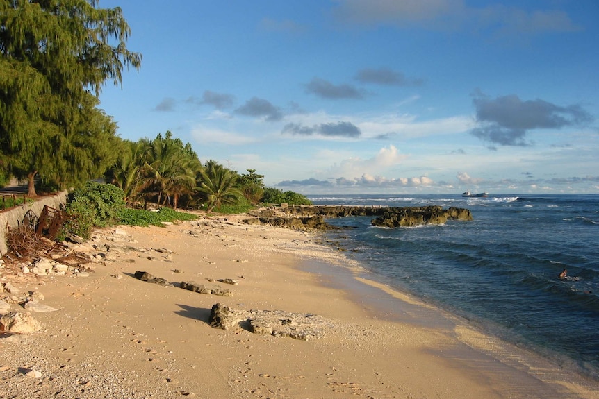 Archival image, wide-shot, of trees, beach and water on Banaba island, Kiribati.