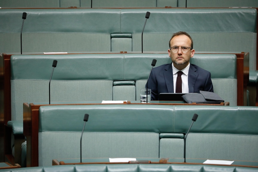 Bandt sits alone on the representatives' benches and looks serious.