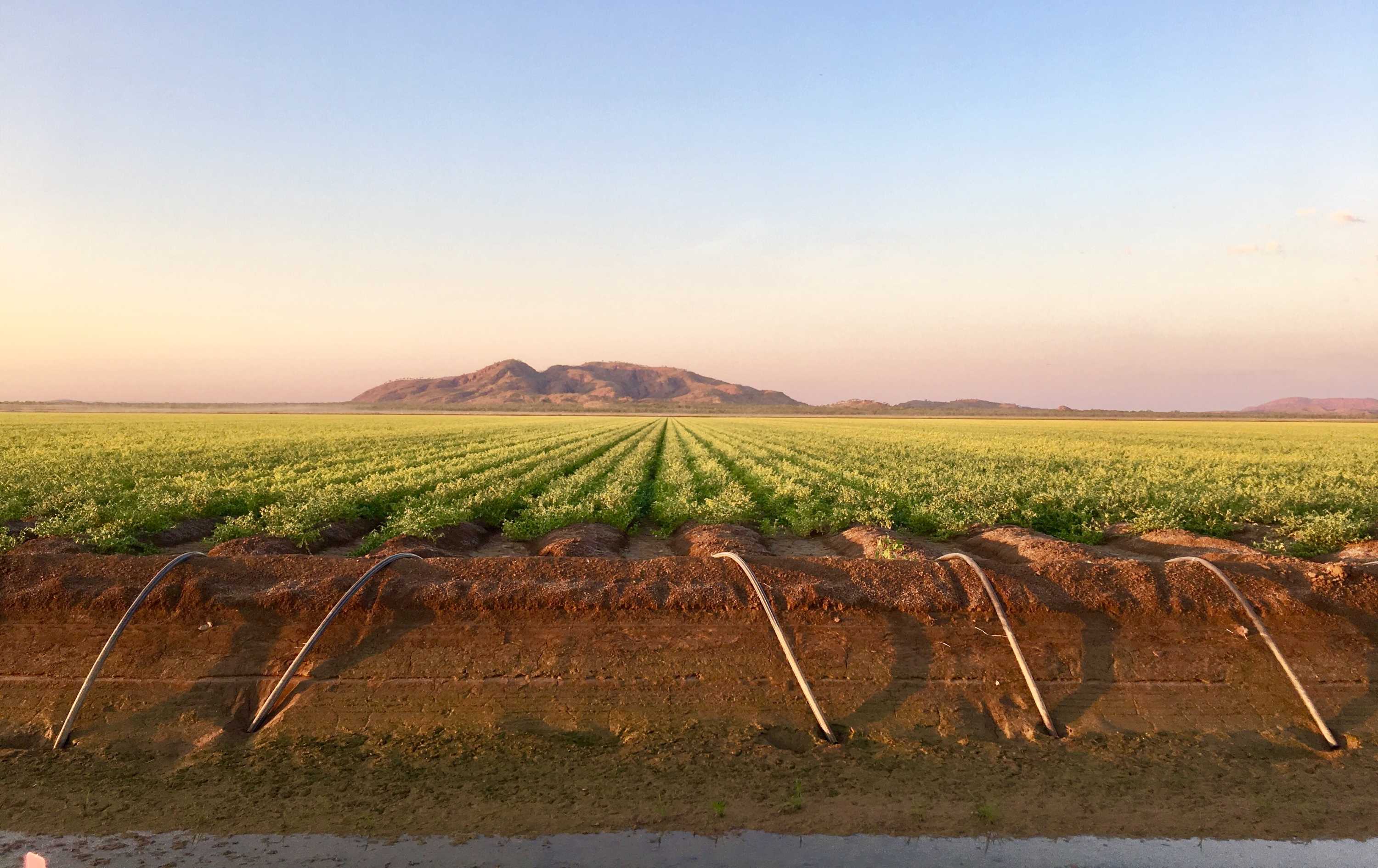 Kimberley farmers Ord Stage 3 goahead and expansion of irrigation scheme across the NT