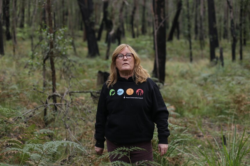 A middle-aged woman with blonde hair, glasses, standing in a forest, looking up. Wears black tee with four coloured circles.