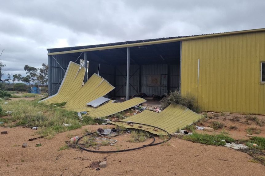 A yellow shed with some damaged panels is open and there is litter and weeds