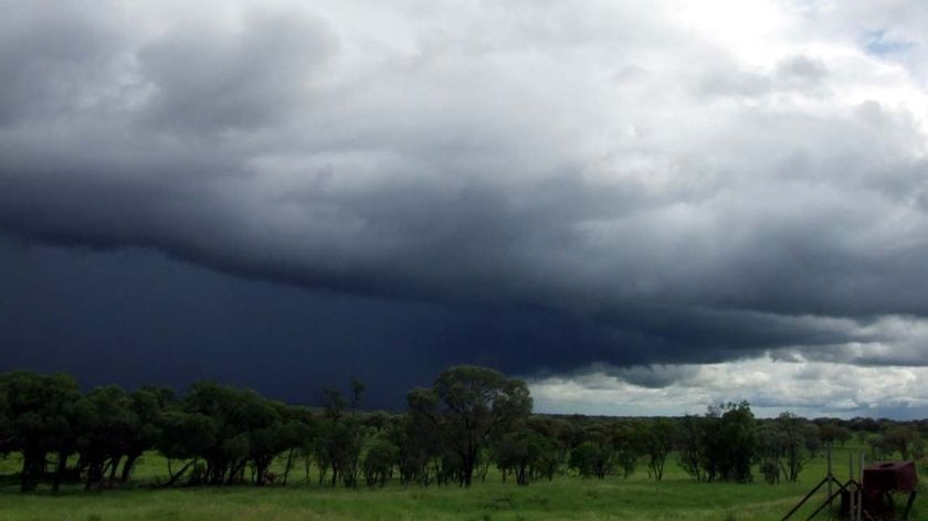 The bureau predicts the rains could dry up in winter