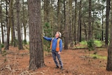 Man in high-vis standing in forest