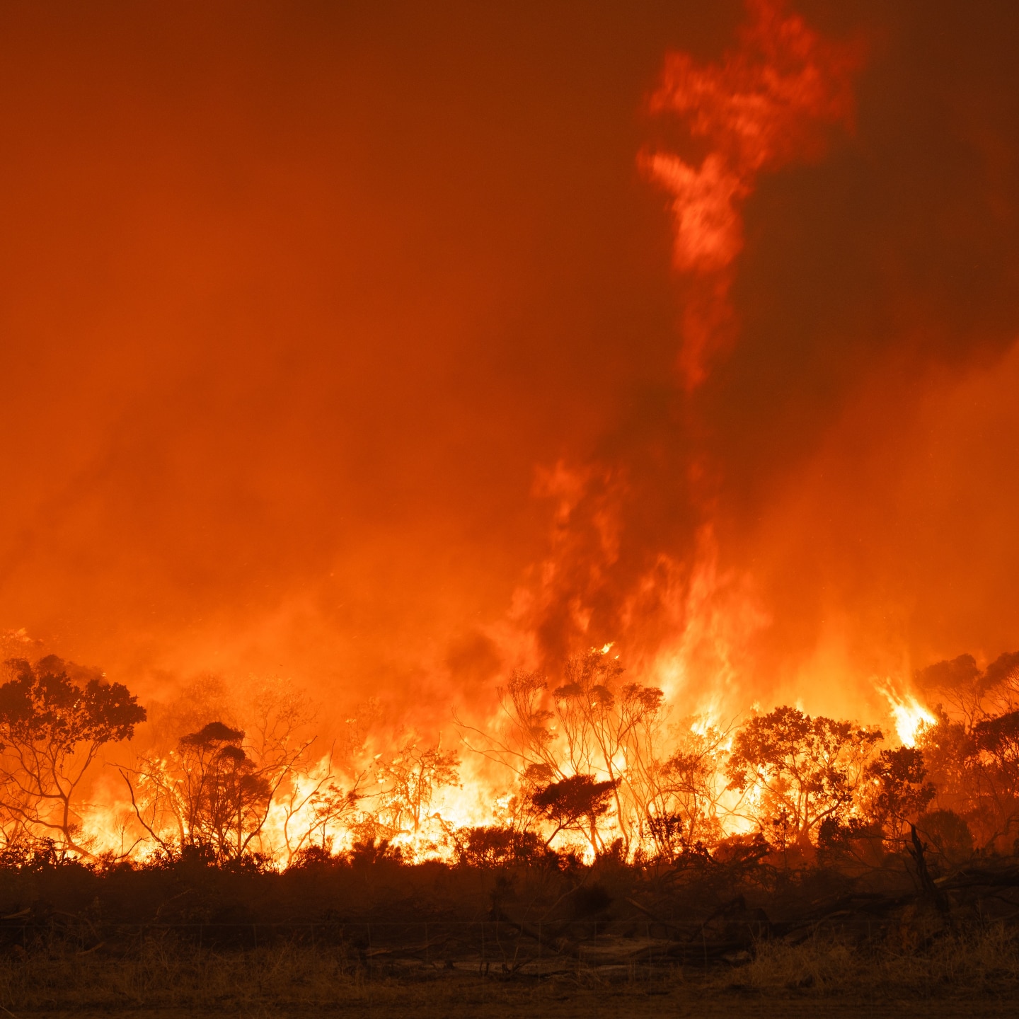 Dunn Rock Fuego 2 Roleystone VRFS