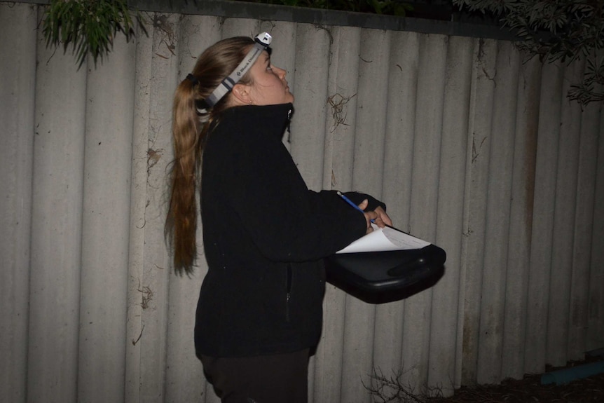 Bronte Van Helden did regular monitoring in Albany backyards for her research.
