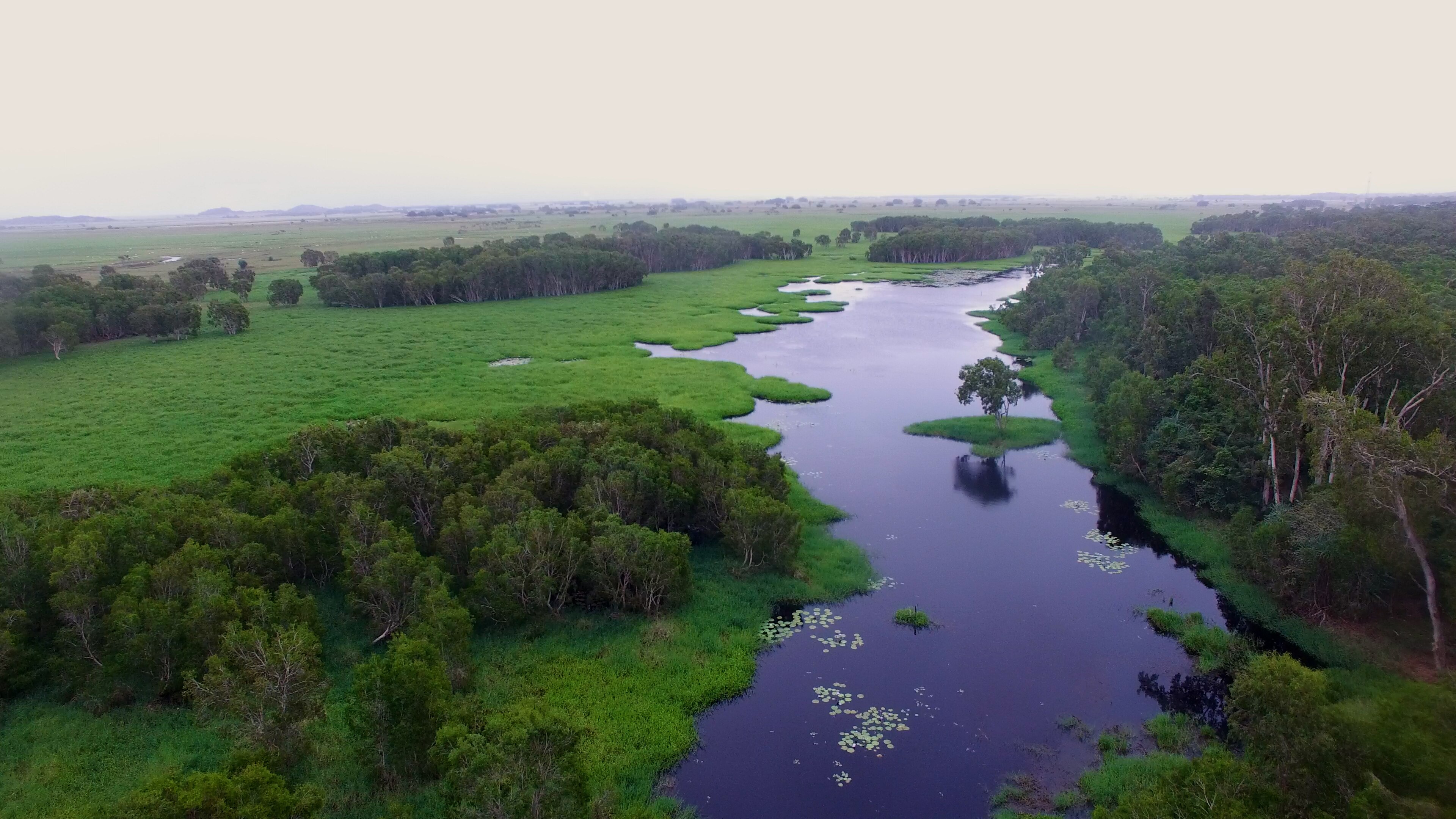 An aerial image of a wetland surrounded by tropical green vegetation.