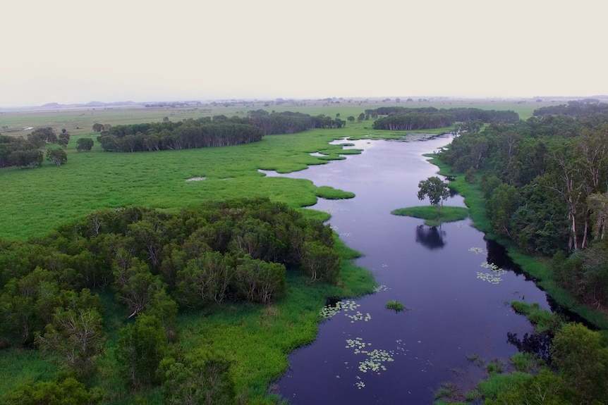 an aerial image of a wetland surrounded by tropical green vegetation