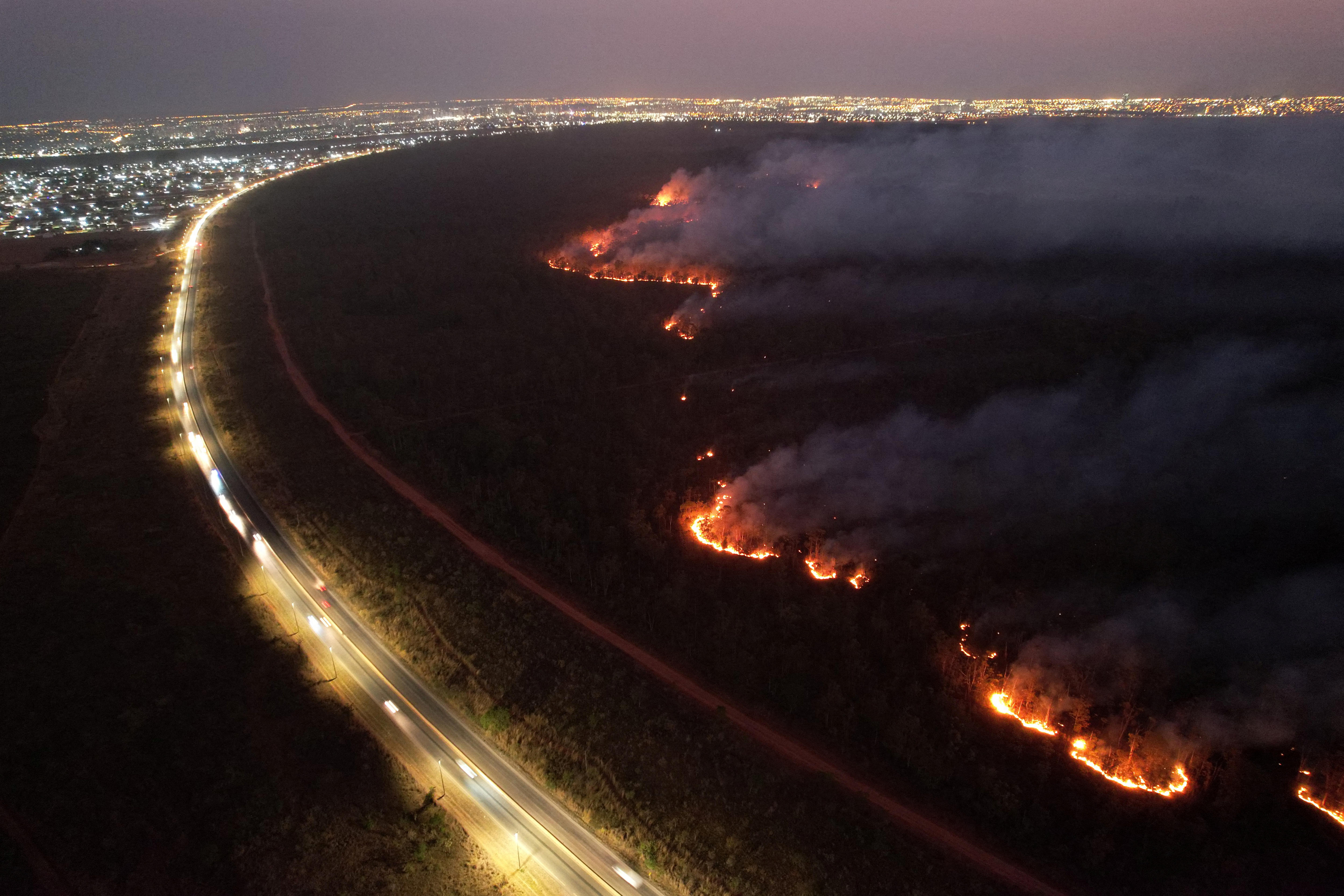 Wildfires burn in a forest at nighttime, alongside a main road