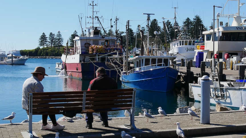 A couple sit on a bench at a wharf with boats and seagulls in the background.