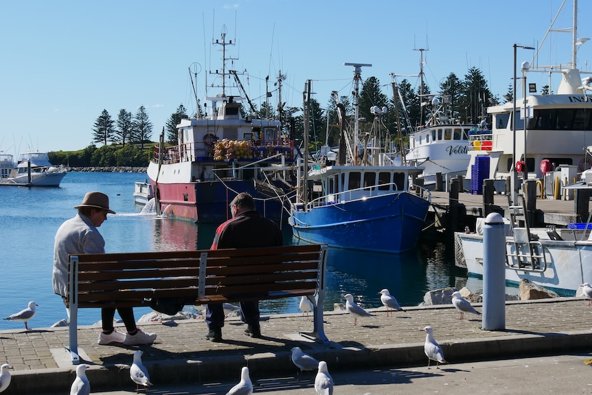 a couple sit on a bench at a wharf with boats and seagulls in the background
