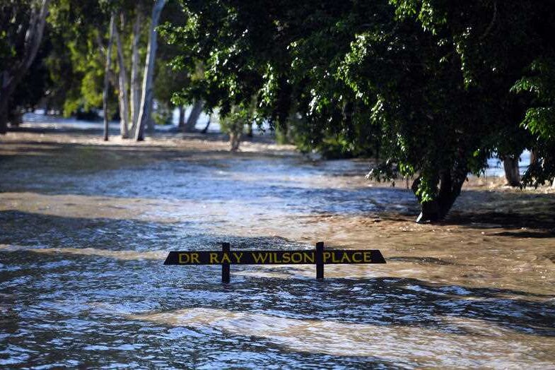 A sign is just above water level on the banks of the Fitzroy river in Rockhampton.