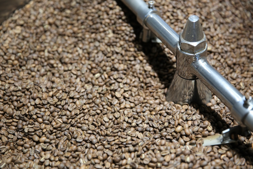 gros plan de grains de café dans le torréfacteur