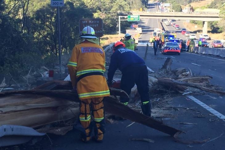 Fire crews cut a fallen tree on the motorway.