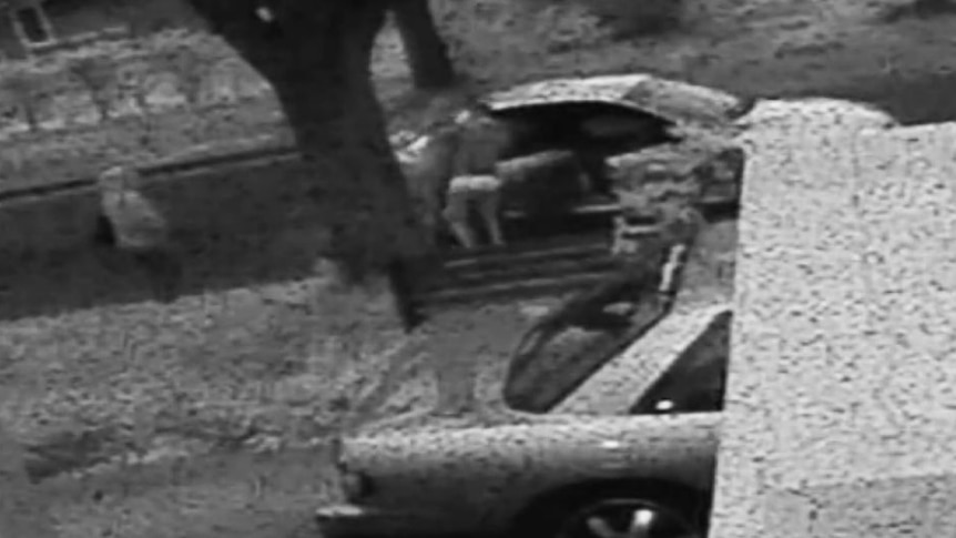 Video still of an alleged attempted abduction in the Canberra suburb of Red Hill.