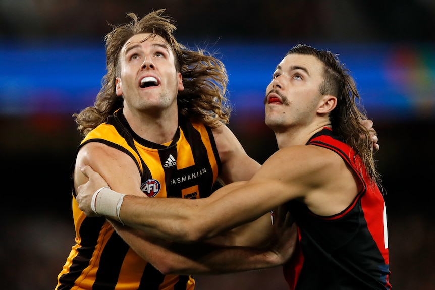 A Hawthorn AFL player pushes an Essendon opponent while waiting to play for the ball.
