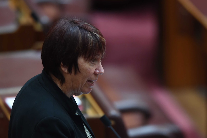 Sue Lines speaks into a microphone in the Senate. Behind her, red chairs are visible.