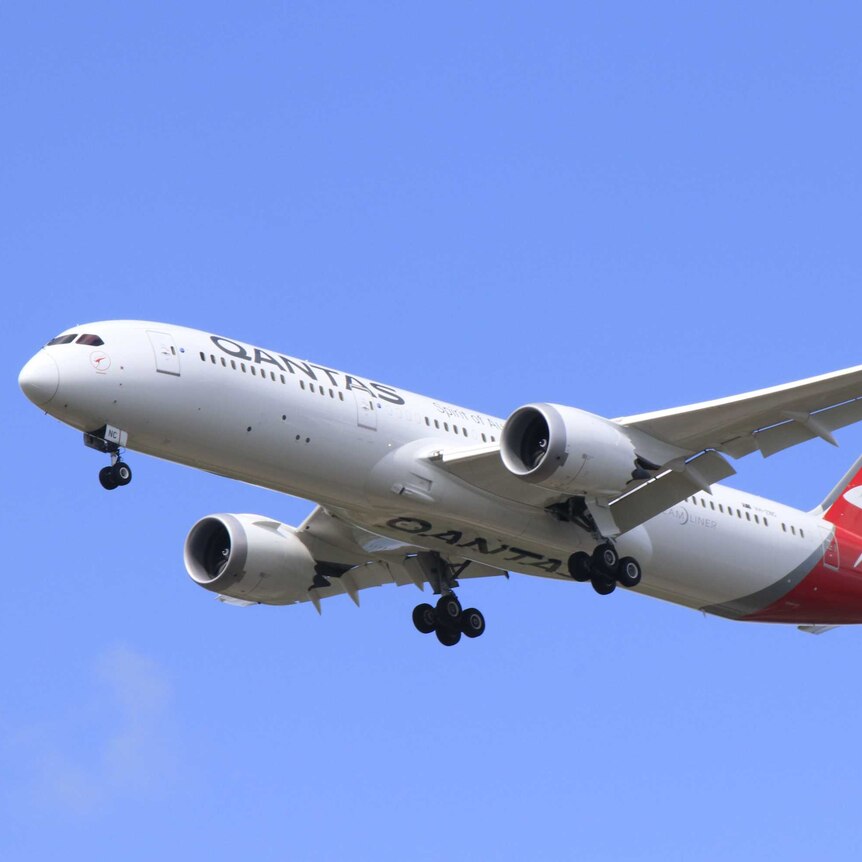 A Qantas flight is flying against a clear blue sky.