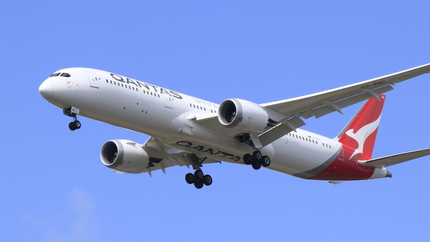 A Qantas flight is flying against a clear blue sky.