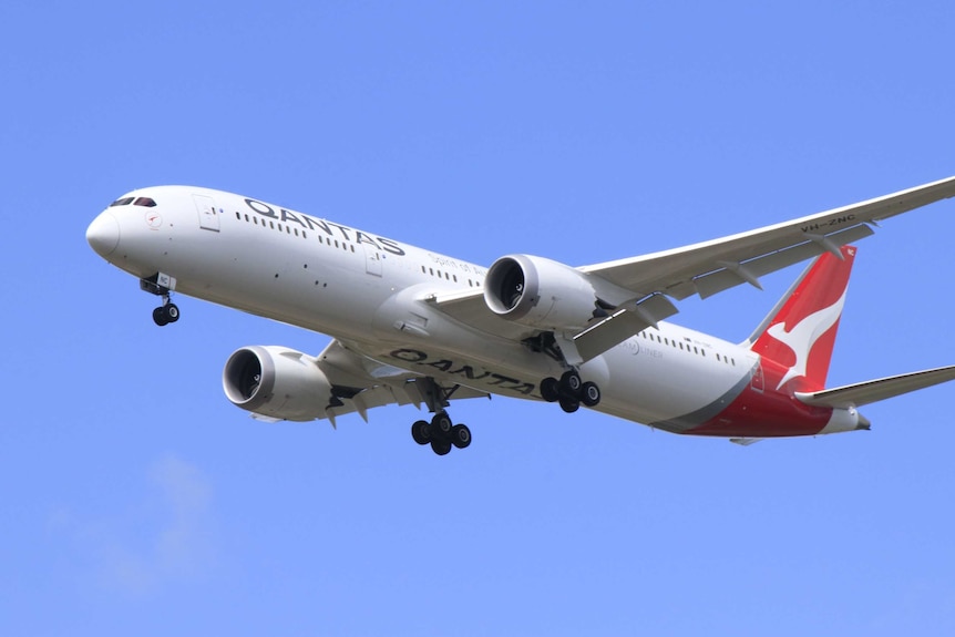 A Qantas flight is flying against a clear blue sky.