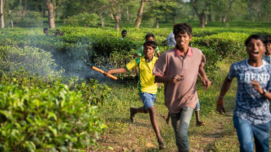Kids and young men run through the tea fields. One boy is holding a firecracker.