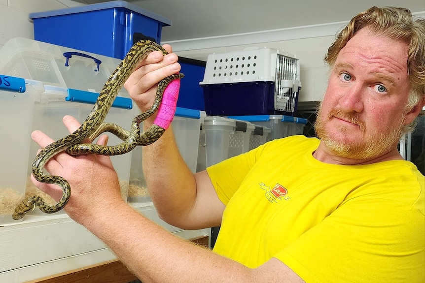 man in yellow shirt holding snake