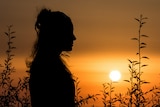 A woman's silhouette in profile, as sunset, with the shadows of trees in the background.