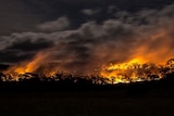 An archival photograph shows a bushfire lighting up the night sky. The silhouettes of trees are visible against thick smoke.