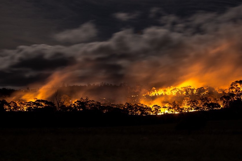 An archival photograph shows a bushfire lighting up the night sky. The silhouettes of trees are visible against thick smoke.