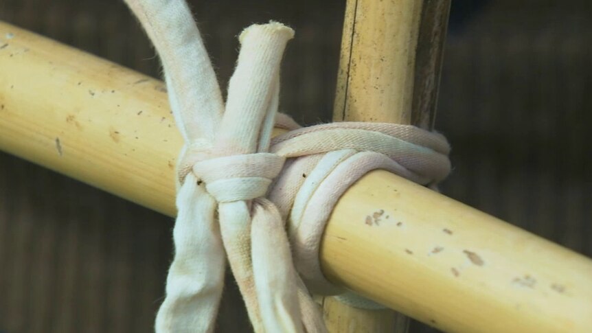Cotton tied on bamboo structure