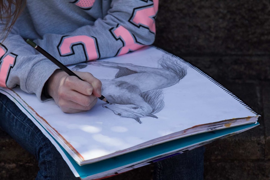 A closeup shot of Stella draw an image of a horse