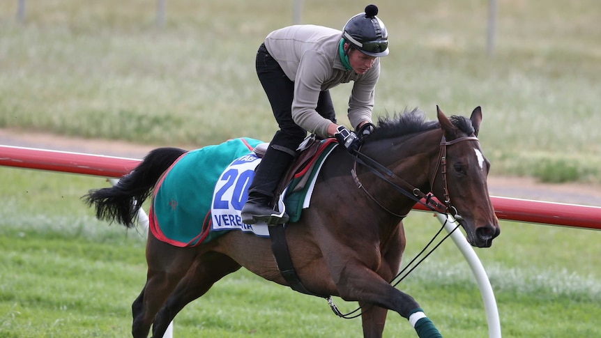 Verema prepares for the Melbourne Cup