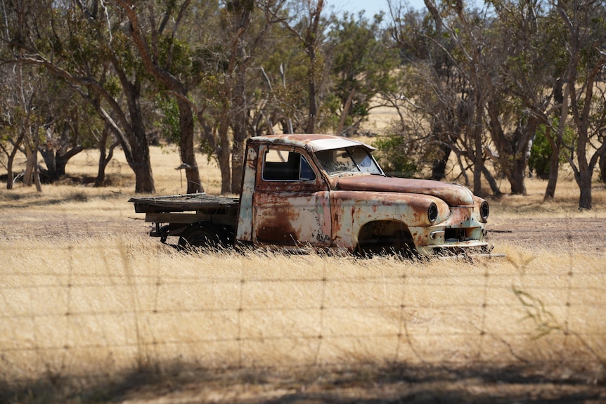 A rusted out ute in a paddock