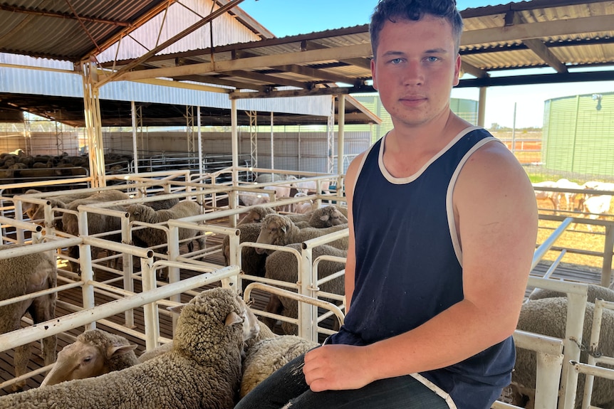 A teenage boy sits on a sheep pen