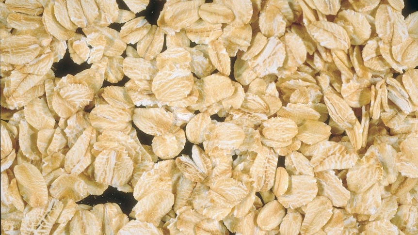 A close up photograph of oats.