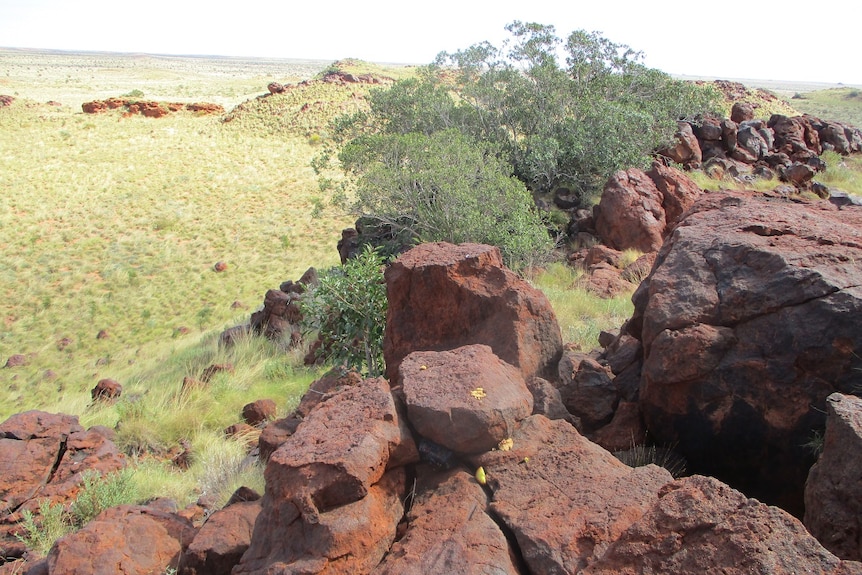 Image of a rocky outcrop in the Great Sandy Desert.