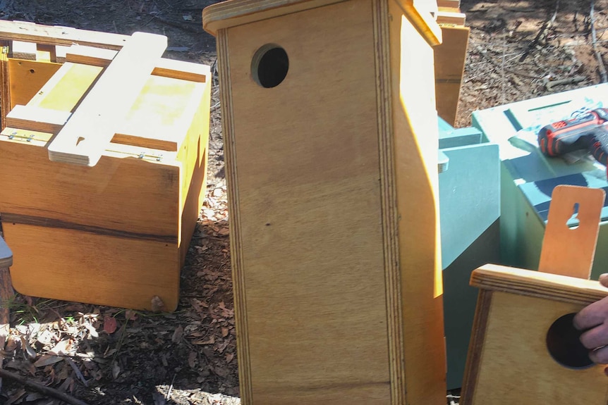 A group of wooden boxes designed to house small animals.