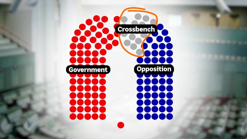 A symbolic representation of the house of representatives chamber with the crossbench section circled.